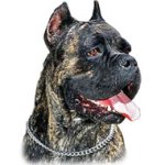 Dog Training Slip Collar for Large Dogs like Cane Corso