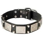 Designer Leather Dog Collar With Vintage Nickel Plates and Pyramids