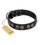 "Mister Exclusive" Designer FDT Artisan Black Leather Cane Corso Collar with Medallions