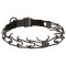 Stainless Steel Black Cane Corso Pinch Prong Collar with Click Lock Buckle