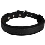 Beautiful Collar with Felt Padding for Attack / Protection Training