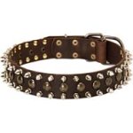 Designer Spiked and Studded Leather Dog Collar for your Cane Corso