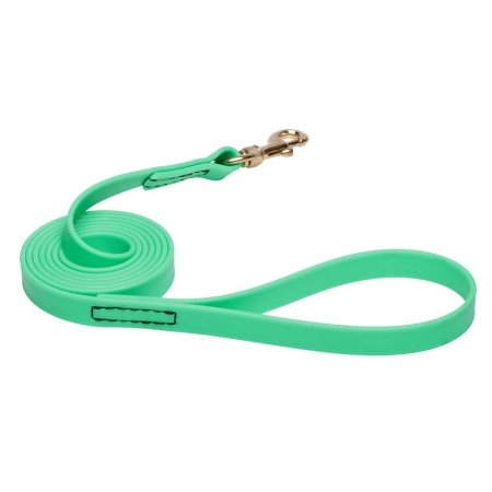 Green Waterproof Cane Corso Leash Made of Biothane