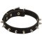 Stylish Leather Dog Collar with One Row Spikes for Cane Corso Breed