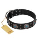 "Boundless Blue" FDT Artisan Black Leather Cane Corso Collar with Chrome Plated Brooches and Square Studs