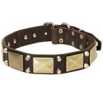 Vintage Dog Collar with Massive Brass Plates and Nickel Pyramids