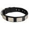 Fashion Nylon Dog Collar with Vintage Plates for Large and Medium Breeds