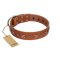 "Star Shine" Exclusive FDT Artisan Tan Leather Cane Corso Collar with Silver-Like Adornments