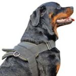 All Weather Padded Nylon Dog Harness for Rottweiler