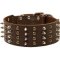 Cane Corso Spiked and Studded Leather Extra Wide Collar