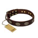 "Chocolate kiss" FDT Artisan Leather Cane Corso Collar with Old Bronze Look Oval Plates