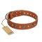"Natural Beauty" FDT Artisan Tan Leather Cane Corso Collar with Shining Silver-like Studs