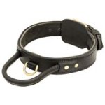 Agitation Leather Dog Collar with Handle for Walking with Your Cane Corso
