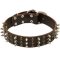Cane Corso Leather Dog Collar with Three Rows of Studs and Spikes