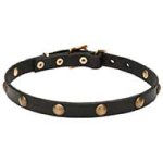 'Elegant Beauty' Leather Cane Corso Collar with Goldish Hardware