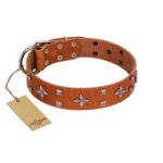 "Tawny Beauty" FDT Artisan Tan Leather Cane Corso Collar Adorned with Stars and Tiny Squares
