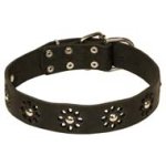 "Flower Style" Leather Dog Collar for Cane Corso