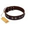 "King Arthur" FDT Artisan Brown Leather Cane Corso Collar with Spiky Plates