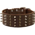 Cane Corso Spiked and Studded Leather Extra Wide Collar