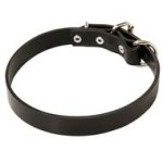 Cane Corso Narrow Leather Collar