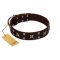 "Bigwig Woof" FDT Artisan Brown Leather Cane Corso Collar with Chrome Plated Stars and Square Studs
