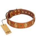 "Glossy Autumn" Designer Handmade FDT Artisan Tan Leather Cane Corso Collar with Ovals and Studs