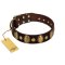 "Retro Pusle" FDT Artisan Brown Leather Cane Corso Collar with Old Bronze-like Studs and Oval Brooches