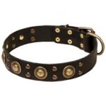 Awesome "Gladiator Style" Leather Cane Corso Collar