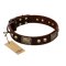 "Magic Amulet" Brown Leather Cane Corso Collar with Skulls and Plates