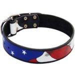 Designer Leather Collar with American Flag Pattern. Special Design for Big Dogs