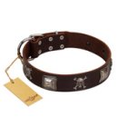 "Nut-Brown Finery" Embellished FDT Artisan Brown Leather Cane Corso Collar with Chrome Plated Crossbones and Plates