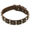 Leather Dog Collars with Studs and Pyramids for Cane Corso