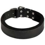 Strong Leather Dog Collar Padded with Thick Felt for Cane Corso