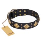 "Fancy-Schmancy" FDT Artisan Studded Leather Cane Corso Collar