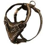 Unique Barbwire Painted Leather Dog Harness for Cane Corso Breed