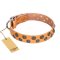 "Precious Sparkle" FDT Artisan Tan Leather Cane Corso Collar with Vintage Decorations