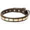 Exclusive Fashion Dog Collar with Brass Plates for Cane Corso