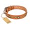 "Feast of Luxury" FDT Artisan Tan Leather Cane Corso Collar with Old Bronze Look Circles