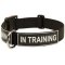 Multipurpose Sevice Nylon Collar with Patches for Cane Corso