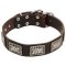Exclusive Leather Cane Corso Collar with Massive Nickle Plates