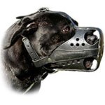 Heavy Duty Leather Cane Corso Muzzle