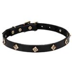 'Rhombi' Leather Cane Corso Collar with Brass Decoration