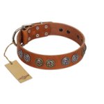 "Luxurious Life" Premium Quality FDT Artisan Tan Leather Cane Corso Collar with Round Adornments