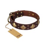 "Golden Square" FDT Artisan Brown Leather Cane Corso Collar with Large Squares