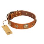 "Celtic Tunes" FDT Artisan Tan Leather Cane Corso Collar Adorned with Stars and Squares
