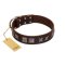 "Needle Stories" Modern FDT Artisan Brown Leather Cane Corso Collar with Square Engraved Plates and Four-Point Stars