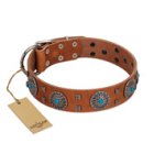 "Blue Sands" FDT Artisan Tan Leather Cane Corso Collar with Silver-like Studs and Round Conchos with Stones