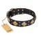 "Fancy-Schmancy" FDT Artisan Studded Leather Cane Corso Collar