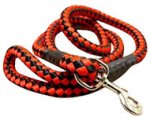 5 foot Round Nylon Leash With Brass Snap for Cane Corso