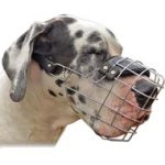 Most Spacious Wire Basket Dog Muzzle for Great Dane
